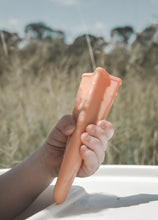 Load image into Gallery viewer, Icy Pole Moulds
